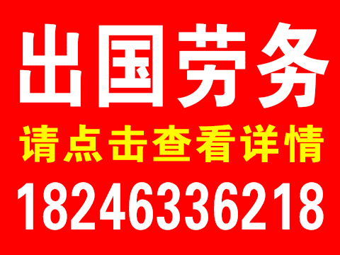 出國勞務(wù)的圖標(biāo)