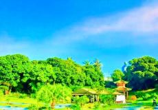 藍(lán)洋生態(tài)園的圖標(biāo)