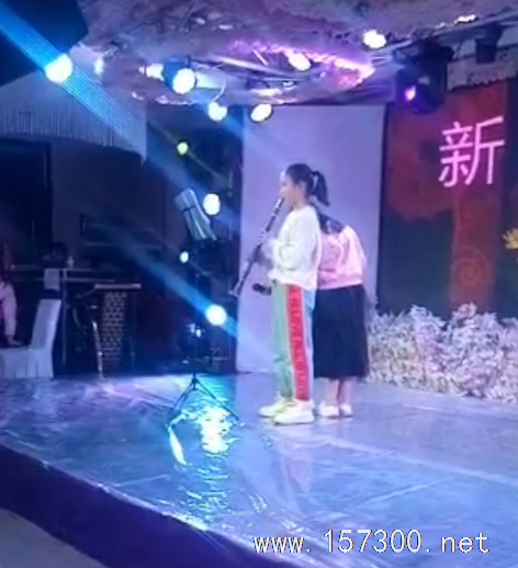 教授民樂西洋樂器