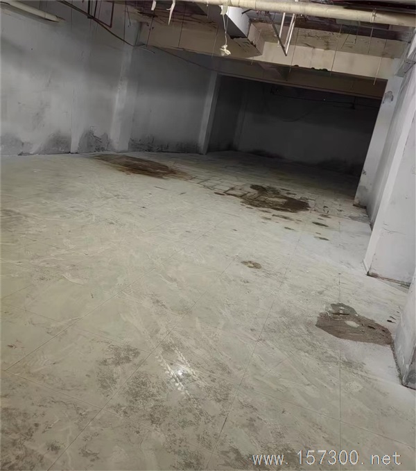 新華商廈地下保溫庫房出租