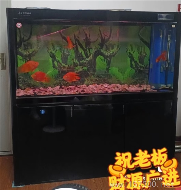 高級魚缸  低價出售