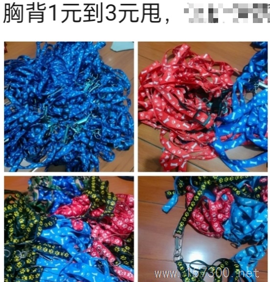 寵物用品清倉最后2天