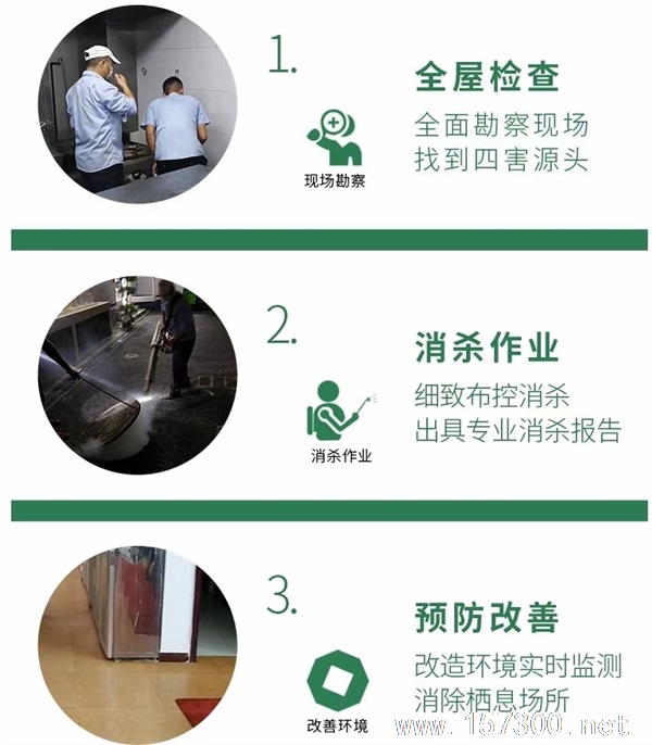 專業(yè)除蟲(chóng)滅蟑滅鼠