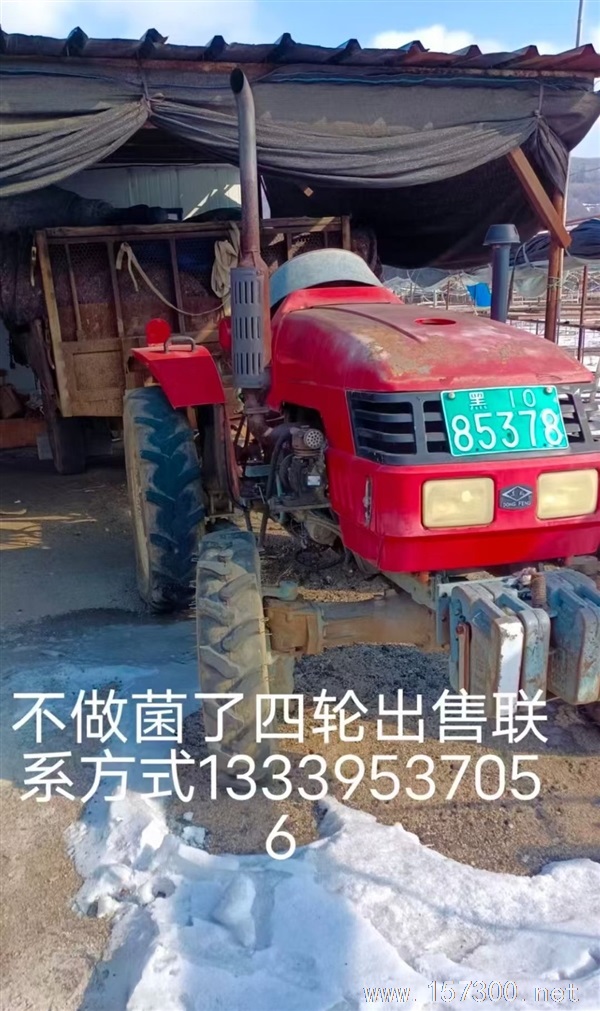 綏陽大棚出租