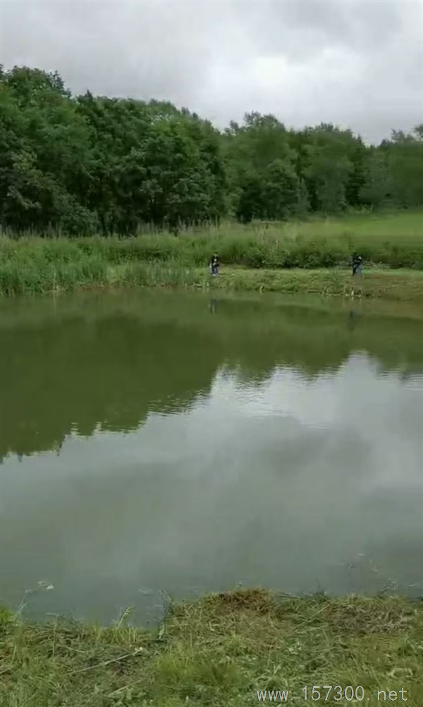 魚(yú)池、山莊、出租